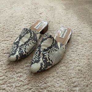 Steve Madden Mules